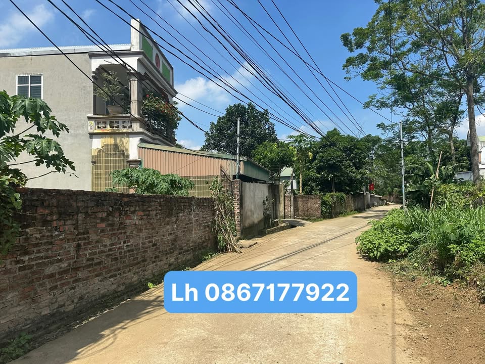 Đất Kim Đức, Việt Trì 126m² giá 1.1 tỷ - Đường ô tô tránh, gần chợ