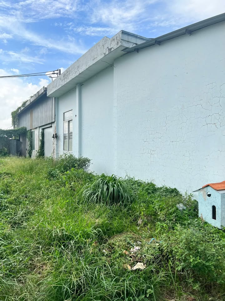 Kho bãi cho thuê mặt tiền đường Khu công nghiệp C, Sa Đéc 400m² giá 10.5 triệu - Hợp đồng lâu dài!