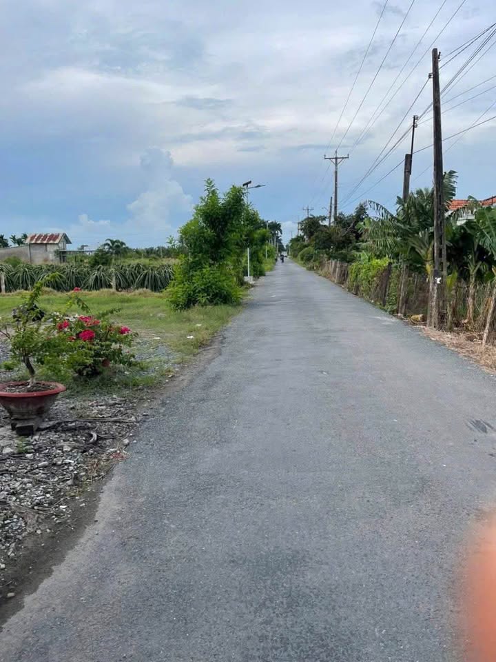 Đất lúa 1000m² mặt tiền chợ Ông Bái, Long An - Giá chỉ 1.5 tỷ!