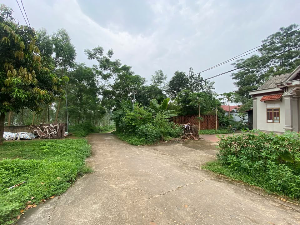 Đất đẹp tại khu 7 Thanh Đình, Việt Trì, 100m² chỉ 900 triệu - Cơ hội vàng cho nhà đầu tư!