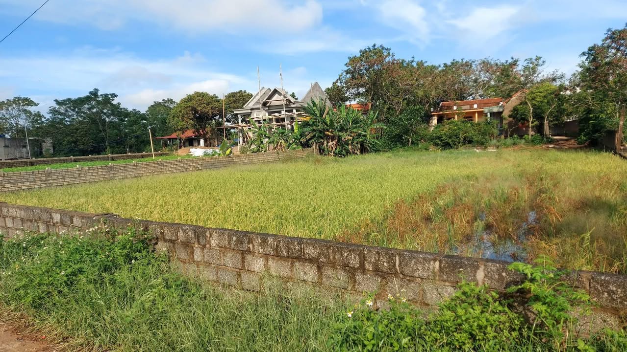 Đất đầu tư tại Thôn Yên Lộc, Đa Lộc, Hậu Lộc 400m² - Cơ hội sinh lời tuyệt vời!