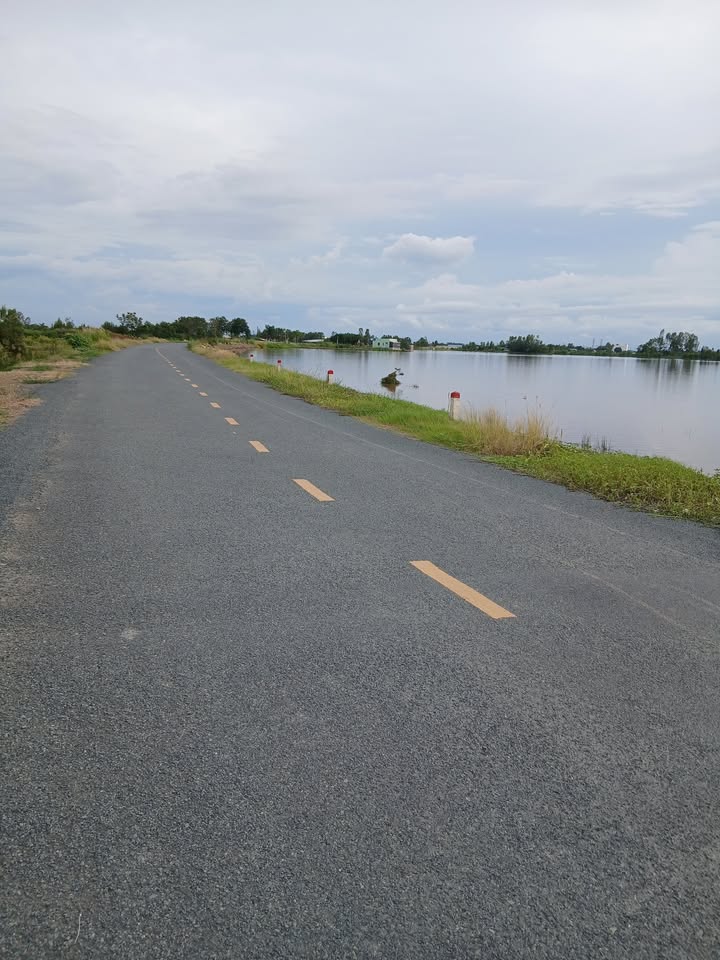 Đất mặt tiền đường ĐT845, xã Thạnh Lợi, huyện Tháp Mười, 5000m² - Giá thỏa thuận hấp dẫn!