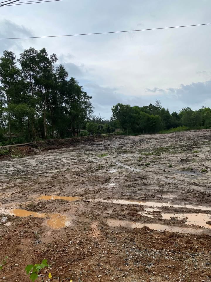 Đất nền Triệu Lăng 130m² giá thương lượng - Vị trí đắc địa gần biển!