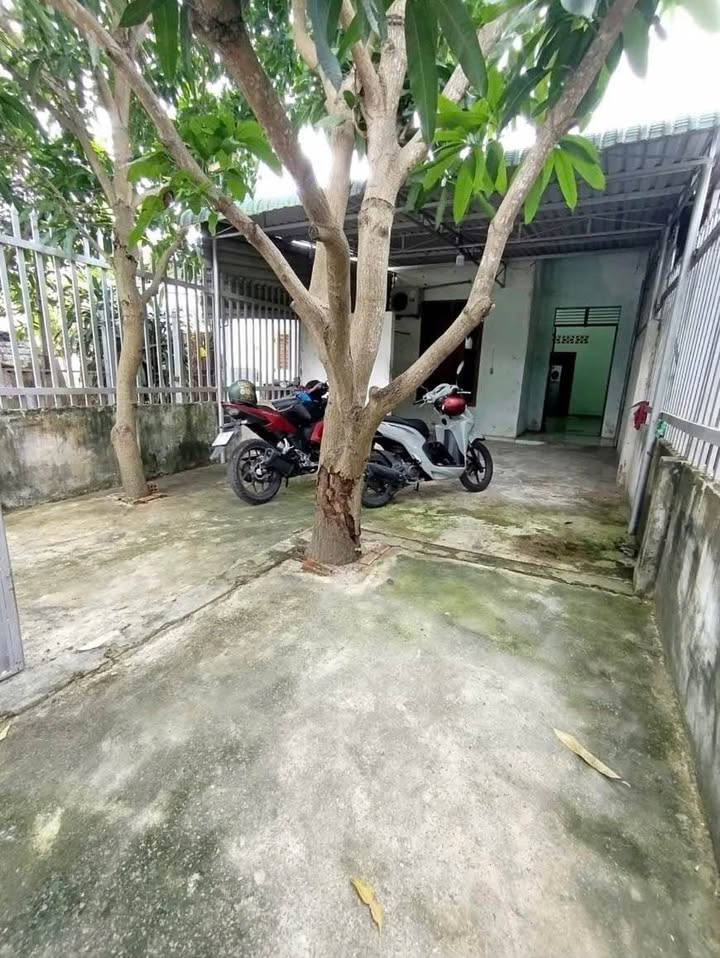 Nhà cấp 4 Phong Nẫm 141,5m² giá 1.25 tỷ - Gần hồ bơi Quốc Hùng