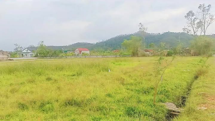 Đất nền Trường Lưu, Can Lộc 255m² giá chỉ 300 triệu - Đầu tư sinh lời ngay!