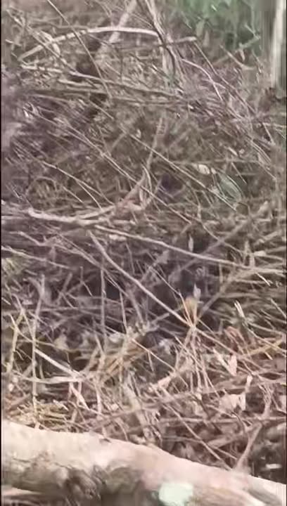 Đất nền Tam Dân Phú Ninh 500m² giá 600 triệu - Cơ hội đầu tư hấp dẫn!