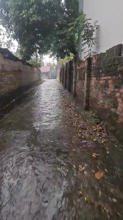 Đất thổ cư Đông Cao - 112m² chỉ 700 triệu - Cơ hội đầu tư tuyệt vời!