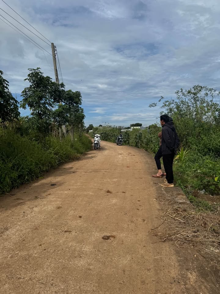 Đất nền Lâm Hà 3200m² giá 1.65 tỷ - Cơ hội đầu tư tuyệt vời!