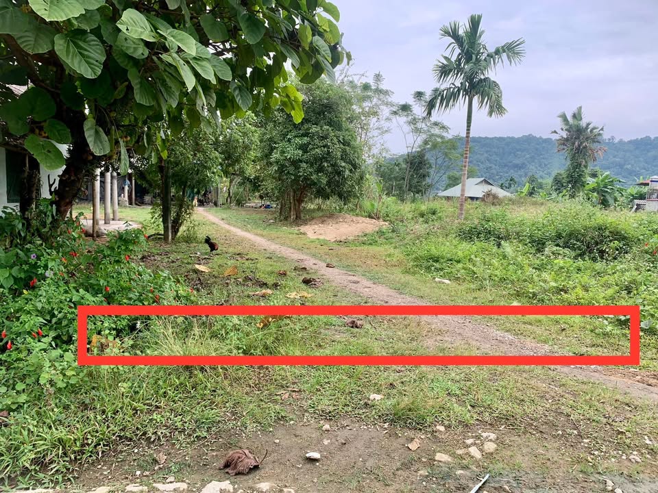 Đất nền tại thôn Tân Bình, Bắc Quang, 452m² - Sổ đỏ đầy đủ, giá thỏa thuận!