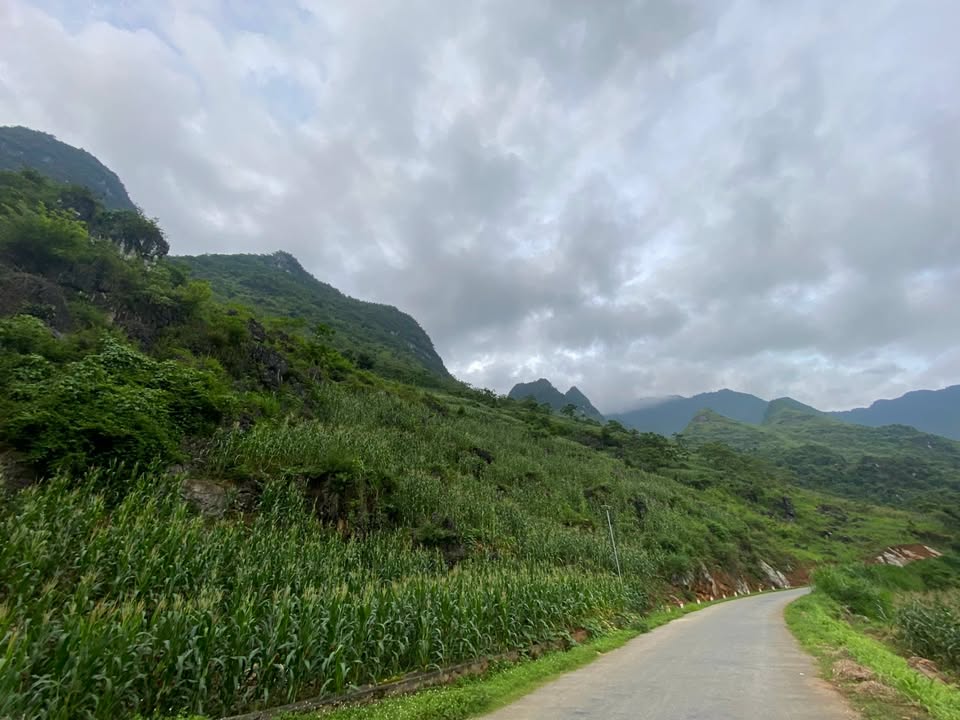 Đất nền Cán Tỷ, Quản Bạ, Hà Giang 3.800m² - View núi tuyệt đẹp, giá tốt!