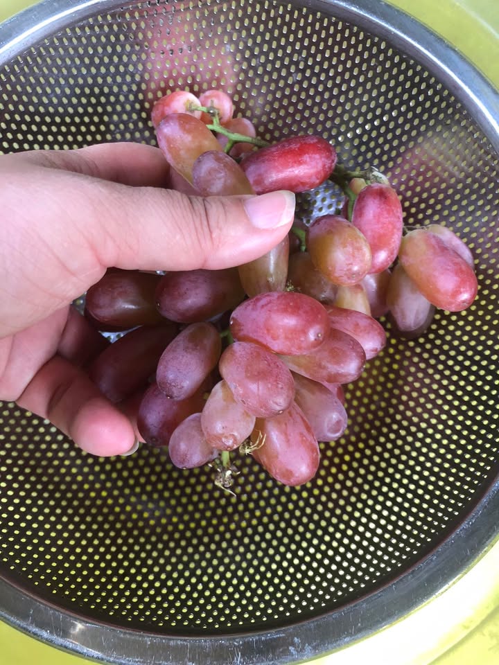 Đất nền Tân Quới Vĩnh Long 2000m² giá 1 tỷ - Cơ hội đầu tư hấp dẫn!