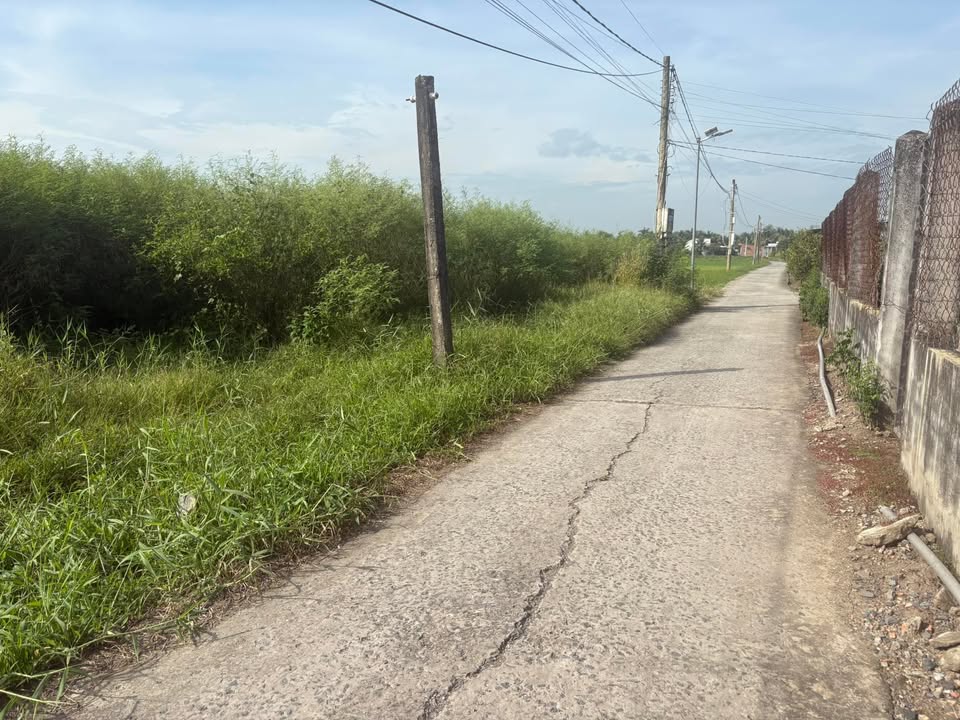 Đất nền 150m² mặt tiền Trần Bá Ân, Tân Bình - Giảm giá chỉ 379 triệu!