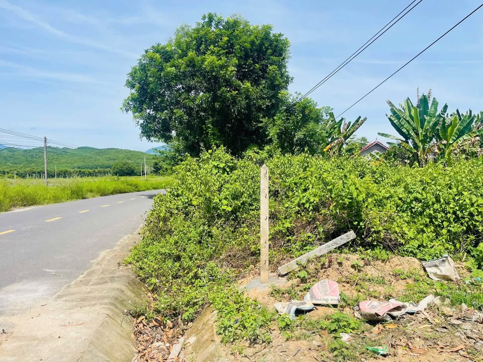 Đất mặt tiền HL62, Khánh Vĩnh 1552m² giá 3.5 tỷ - Đầu tư sinh lời ngay!