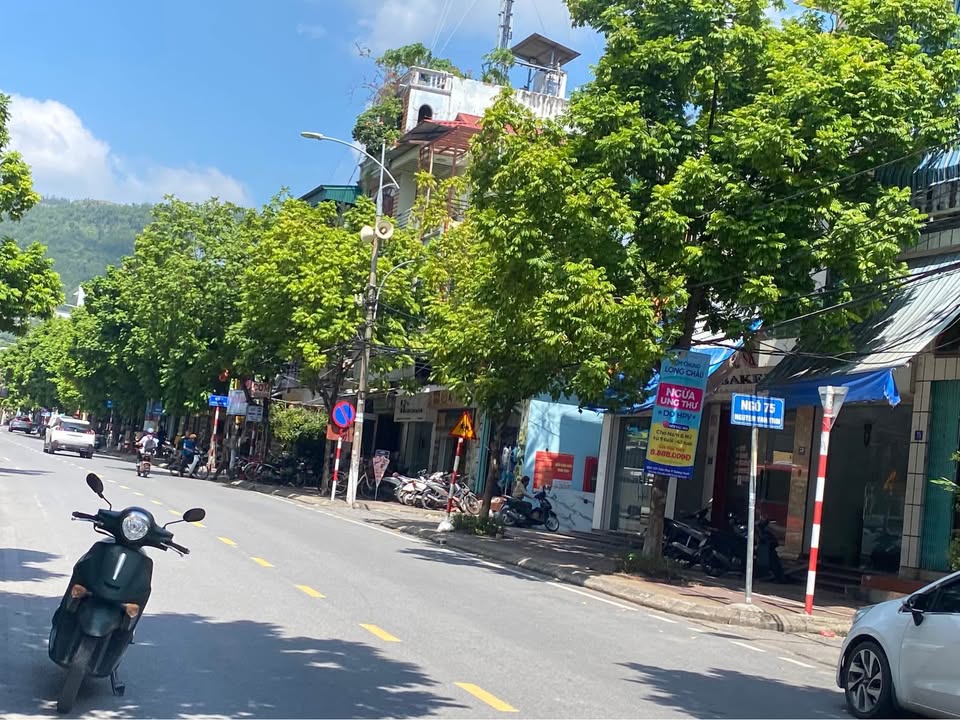 Đất kinh doanh Đường Đất Đỏ, Cẩm Phả 90m² giá 5 tỷ - Đầu tư sinh lời ngay!