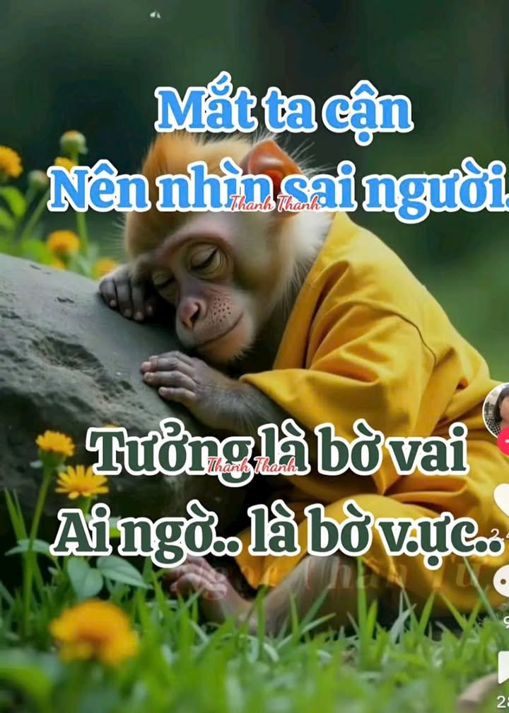 Đất nền Long Hoa, Hòa Thành, Tây Ninh 240m² giá 500 triệu - Cơ hội đầu tư hấp dẫn!