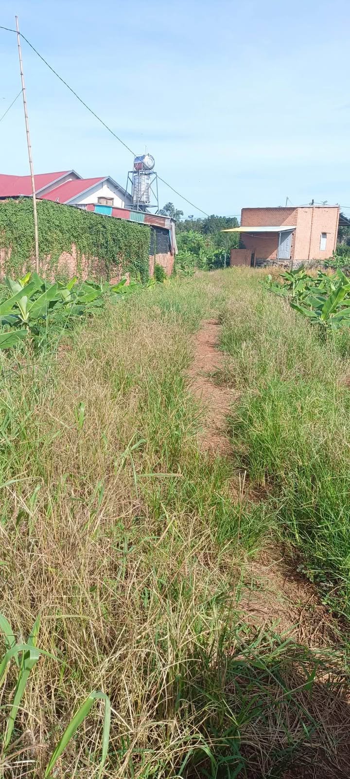 Đất thổ cư 4046m² tại Sông Trầu, Trảng Bom chỉ 1,5 tỷ - Đầu tư lý tưởng!