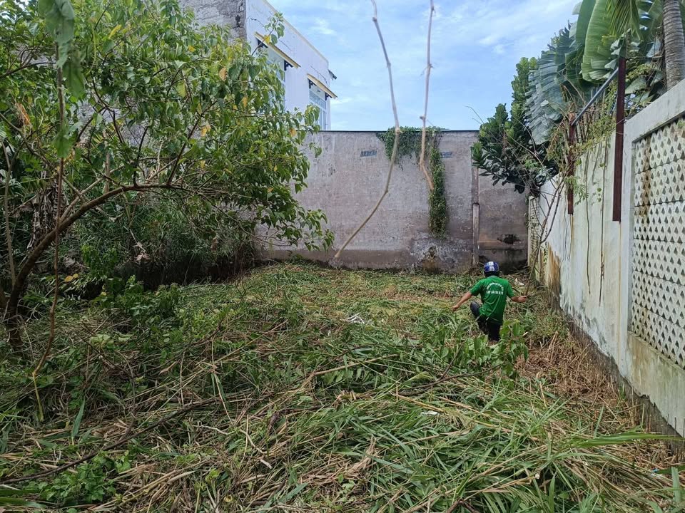 Đất nền đẹp tại P11, Cao Lãnh, Đồng Tháp - Giá chỉ 1.2 tỷ, đầu tư sinh lời ngay!