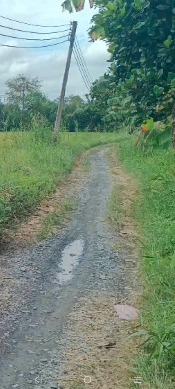 Đất nền Tân Hội Trung 150m² giá 200 triệu - Đường ô tô tới đất!