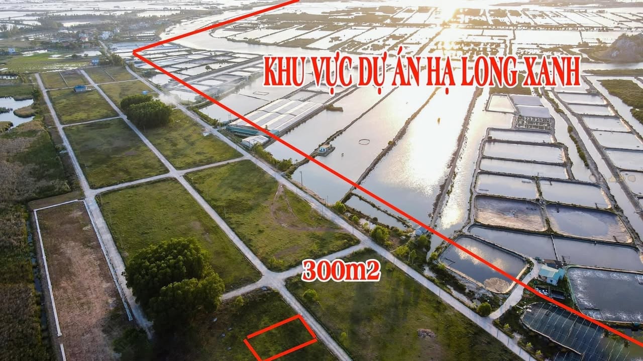 Đất nền Tân Thành Cành Chẽ, Quảng Yên 300m² - Đón sóng Vin Hạ Long Xanh!
