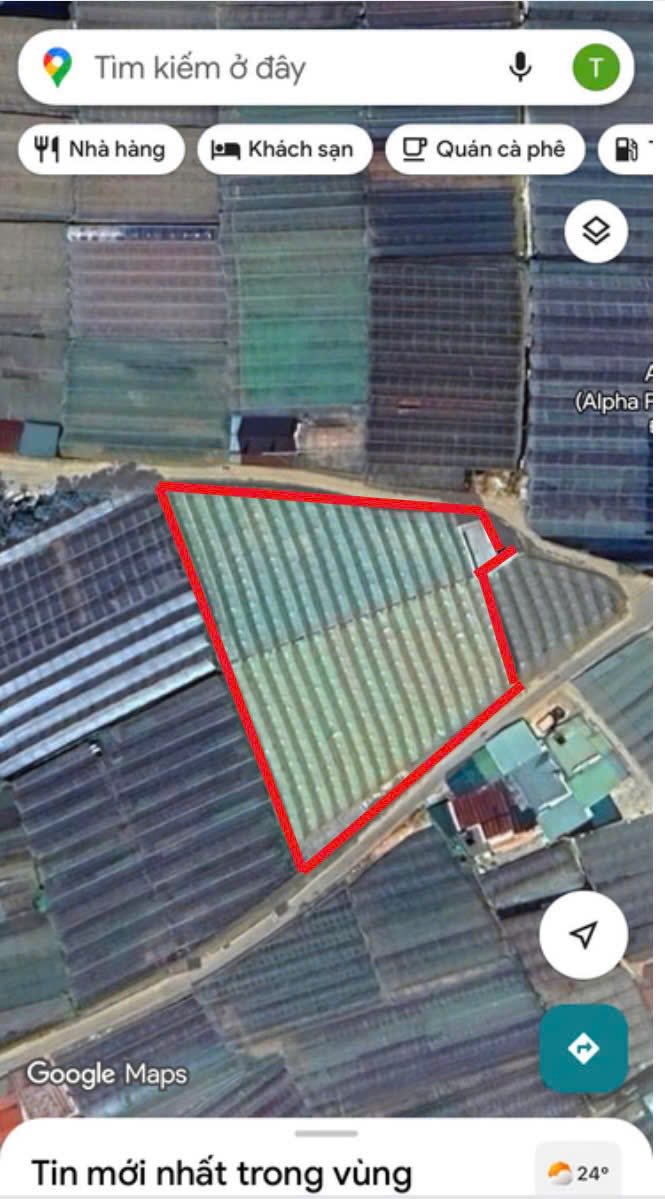 Đất nông nghiệp 4000m² tại phường 11 Đà Lạt - Giá chỉ 40 tỷ, pháp lý sạch!