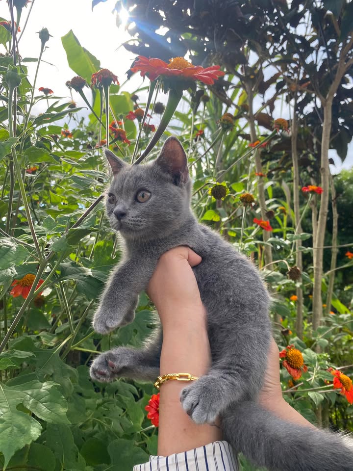 Đất thổ cư 100m² tại Thôn 6, Xã Ea Kar giá chỉ 200 triệu - Cơ hội đầu tư tuyệt vời!