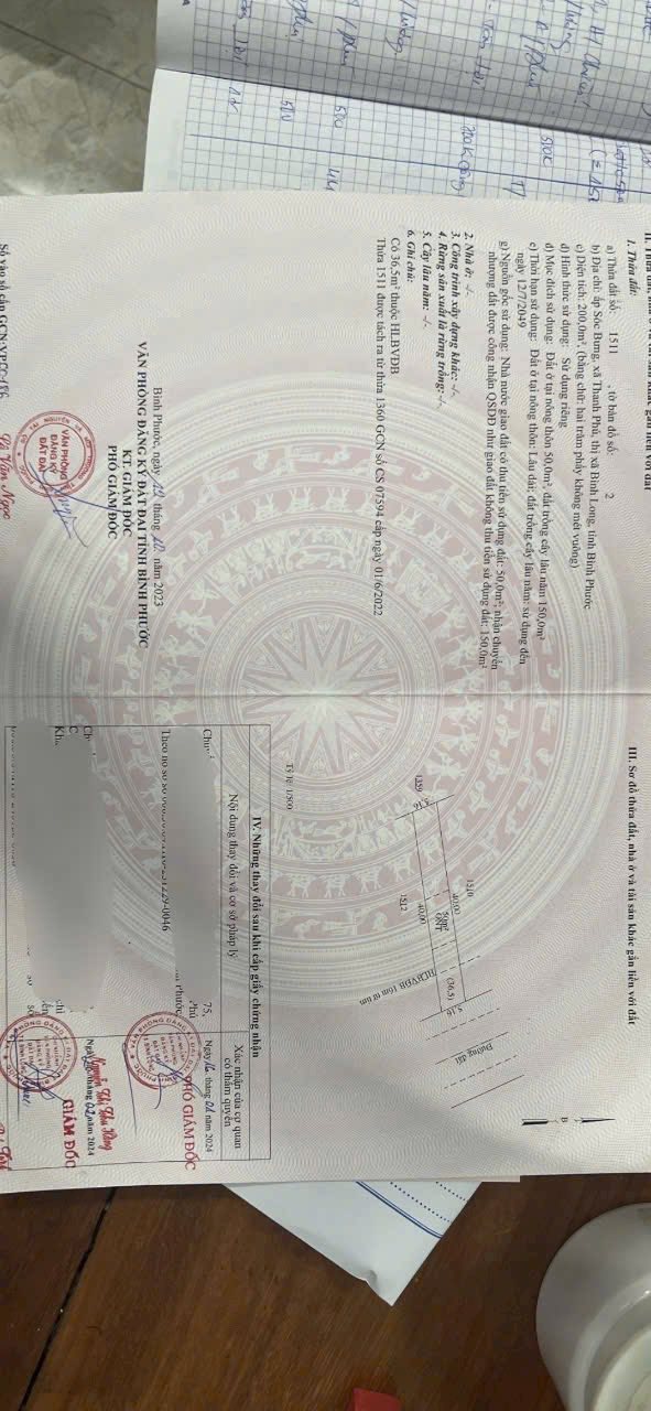 Vườn tiêu 200m² tại Bình Long chỉ 295 triệu - Đầu tư sinh lời ngay!