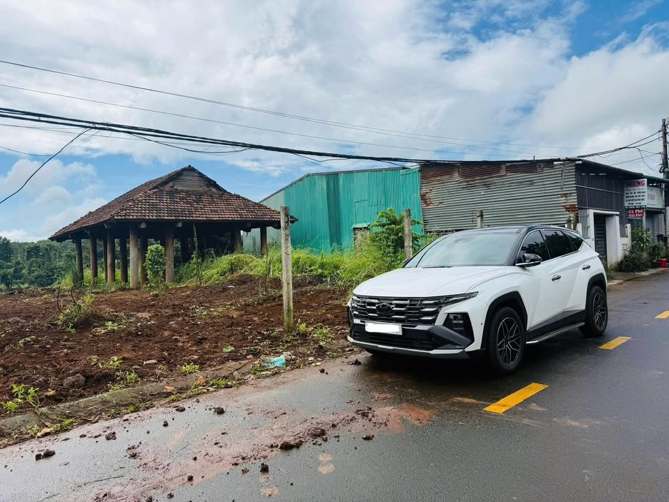 Đất nền mặt tiền Dã Tượng - Phường Tân An 150m² giá chỉ 2.65 tỷ - Cơ hội đầu tư tuyệt vời!