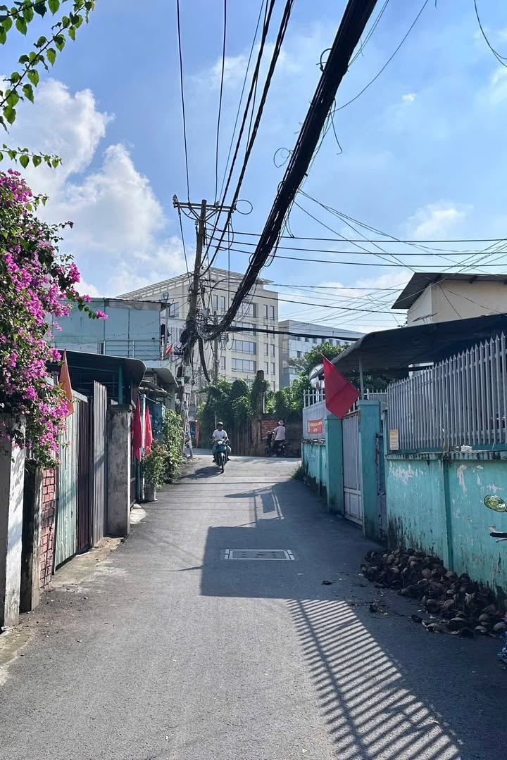 Đất nền Trường Thọ, Thủ Đức 169m² giá 11.2 tỷ - Tiềm năng đầu tư vượt trội!