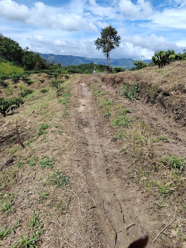 Đất rẫy 3 hecta tại thôn 5 Đăk Tơ Ve, Kon Rẫy, giá 2xx triệu - Đầu tư lý tưởng!