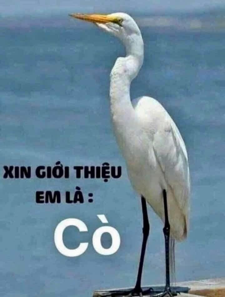 Đất thổ cư 320m² tại xã Long Tân, Nhơn Trạch, giá chỉ 3.2 tỷ - Cơ hội đầu tư hấp dẫn!