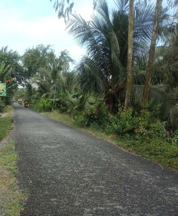 Đất mặt tiền nhựa đường Đức Mỹ, Càng Long 228m² giá 500 triệu - Kinh doanh thuận lợi!