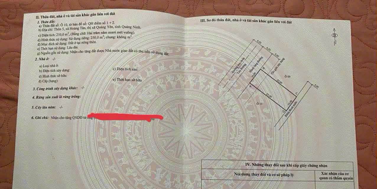 Đất nền Hoàng Tân, Quảng Yên 250m² giá 5 tỷ - Cơ hội đầu tư hấp dẫn!