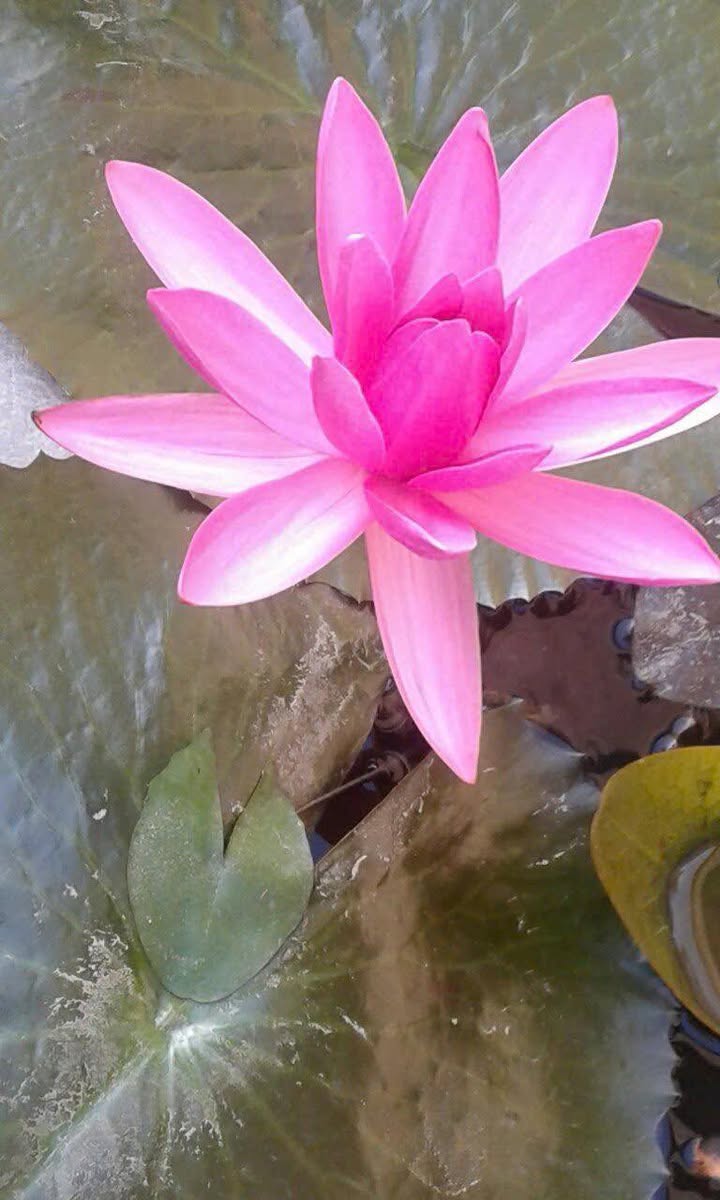 Đất nền Xuyên Tây 3, Nam Phước 211m² giá 1.1 tỷ - Pháp lý rõ ràng, đầu tư sinh lời!