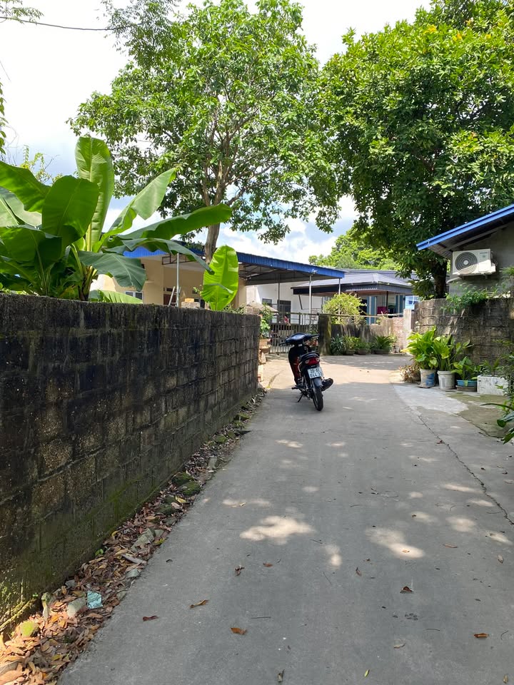 Đất nền Cổ Lũng, Phú Lương 600m² giá 800 triệu - Cơ hội đầu tư sinh lời!