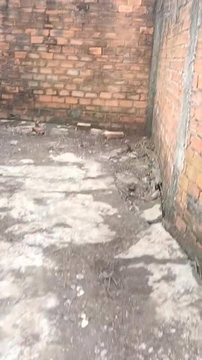 Đất thổ cư 284m² phường Đạo Thạnh, Mỹ Tho - Giá chỉ 1.75 tỷ, thương lượng dễ dàng!