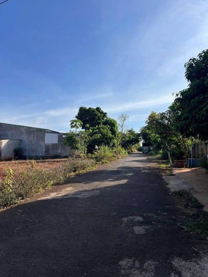 Đất mặt tiền đường D7, phường Ea Kao, Buôn Ma Thuột 125m² giá chỉ 1.999 tỷ - Đầu tư sinh lời ngay!