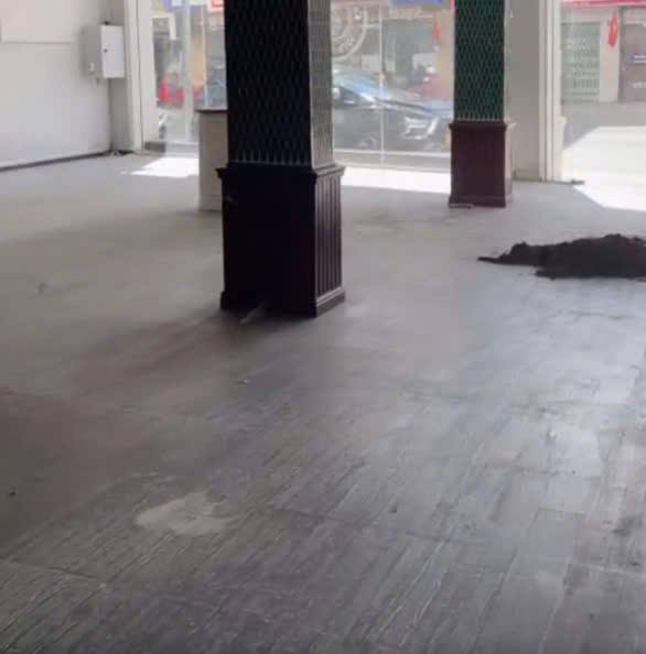 Cho thuê mặt bằng mặt tiền Phường Xuân Hương Đà Lạt 200m² - Lợi thế kinh doanh lớn!