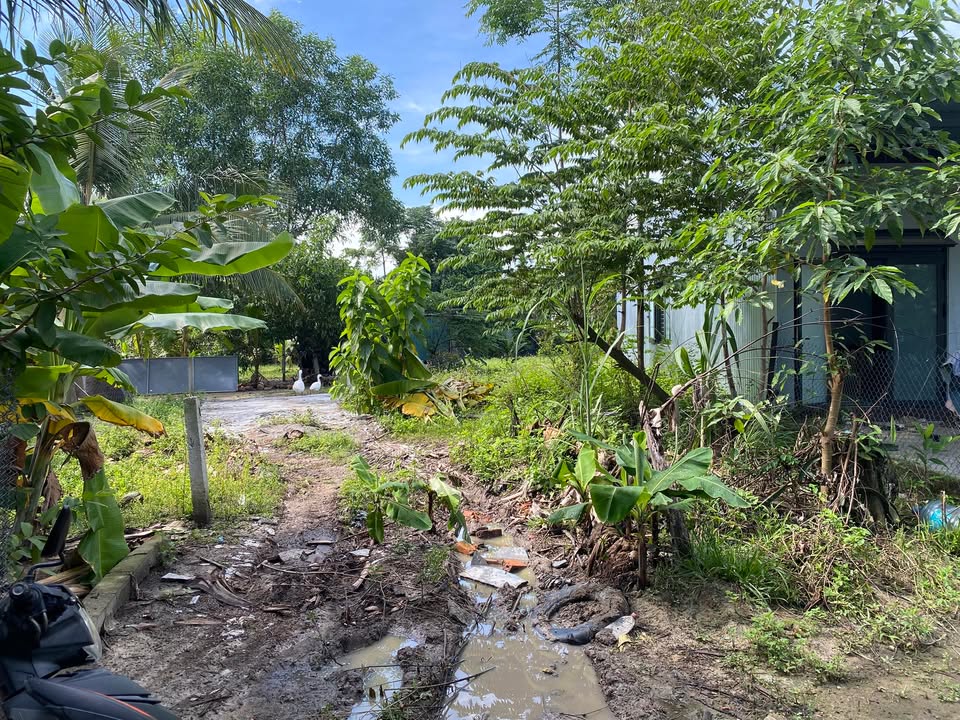 Đất nền Hòa Khương Đà Nẵng 120m² - Chính chủ bán gấp!