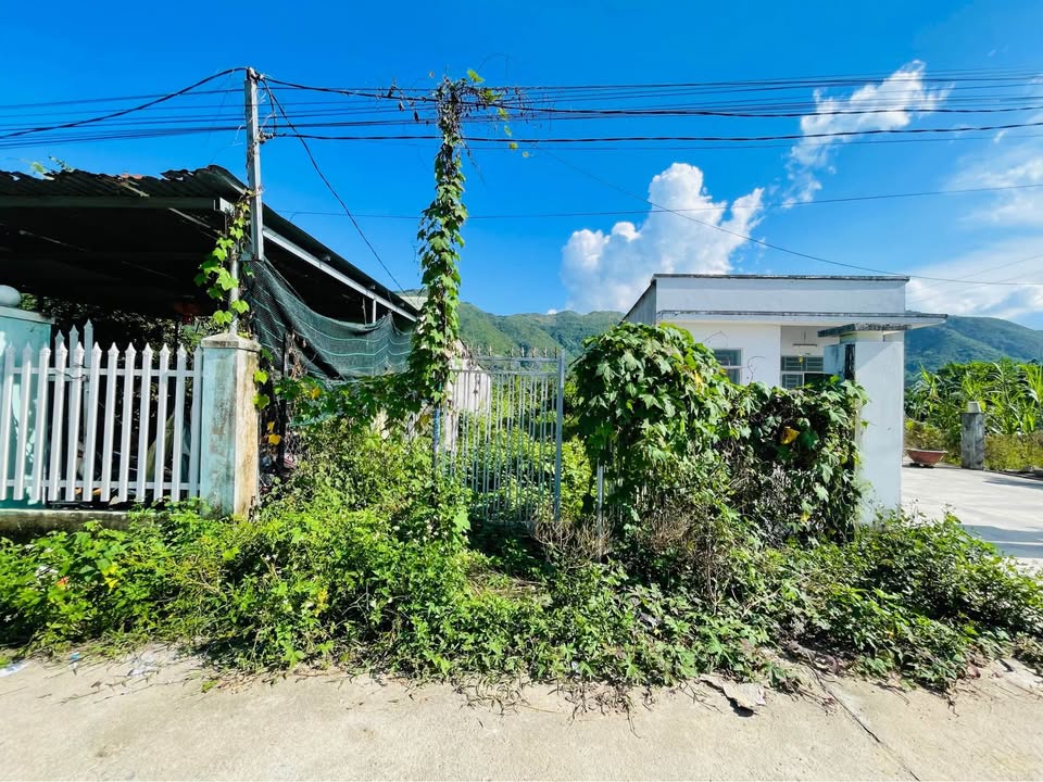 Đất nền Diên An 131m² giá 1.57 tỷ - Đầu tư sinh lời ngay!