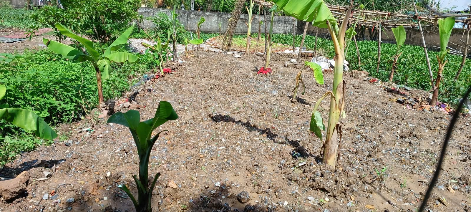 Đất nền Phượng Dực 90m² giá chỉ 2 tỷ - Vị trí cực thuận lợi!