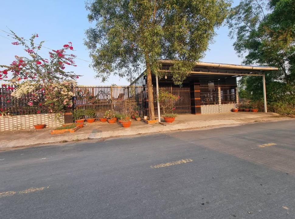 Nhà mặt tiền đường Bàu Sen, Hòa Khánh Đông 1000m² - Chính chủ bán gấp!