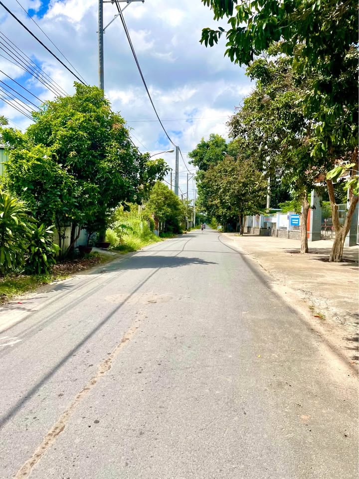 Đất thổ cư Phước Hòa, Bà Rịa - Vũng Tàu 500m² - Vị trí đắc địa, tiện ích đầy đủ!