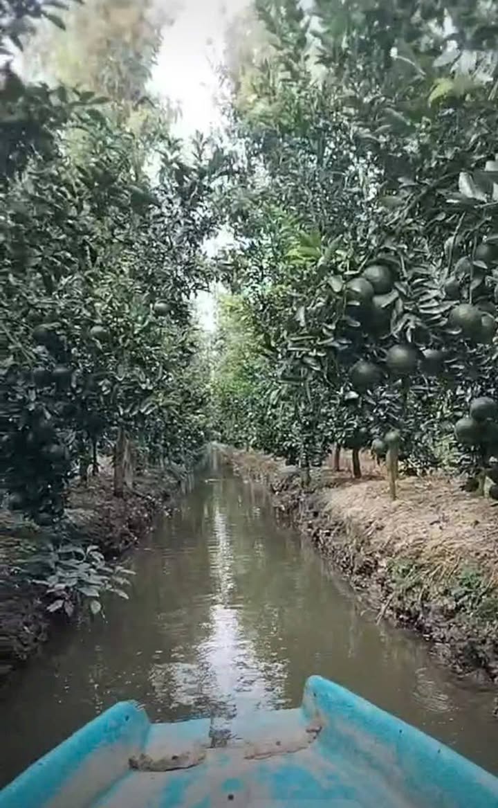 Đất ấp 6 xã An Trường 7168,6m² giá 1.792 tỷ - Đầu tư sinh lời ngay!