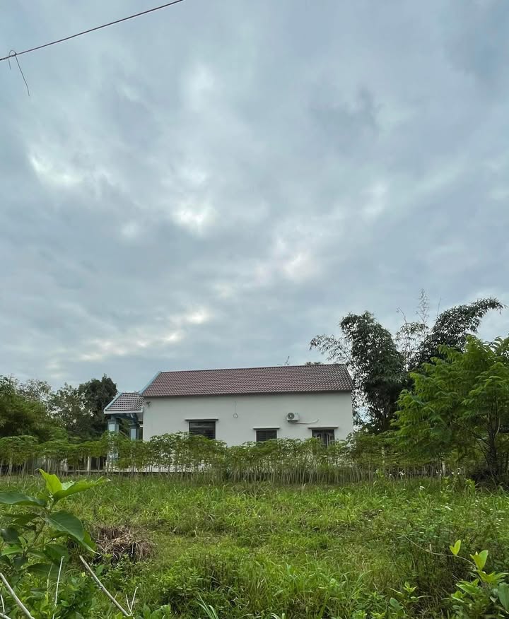 Đất nền Tam Đàn 180m² giá thỏa thuận - Cơ hội đầu tư không nên bỏ lỡ!