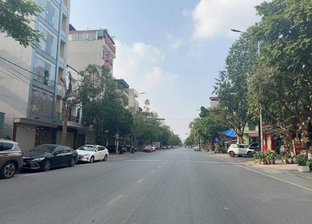 Nhà mặt phố Hoàng Hoa Thám Bò Sơn 80m² giá 18 tỷ - Kinh doanh sầm uất!