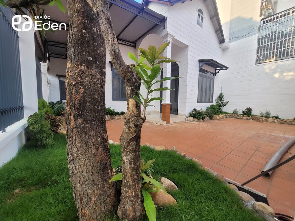 Nhà hẻm 170 Mai Hắc Đế 162m² giá 5.25 tỷ - Kiến trúc sang trọng, sân vườn xinh đẹp!