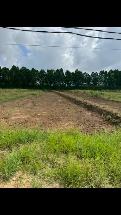 Đất nền Hóc Môn 16,000m² chỉ 38.4 tỷ - Cơ hội đầu tư tuyệt vời!