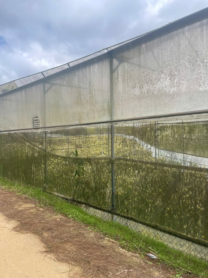 Đất vườn gần Đồi Thiên Phúc Đức, Đà Lạt 2167m² giá 7.5 tỷ - Đầu tư sinh lời cao!