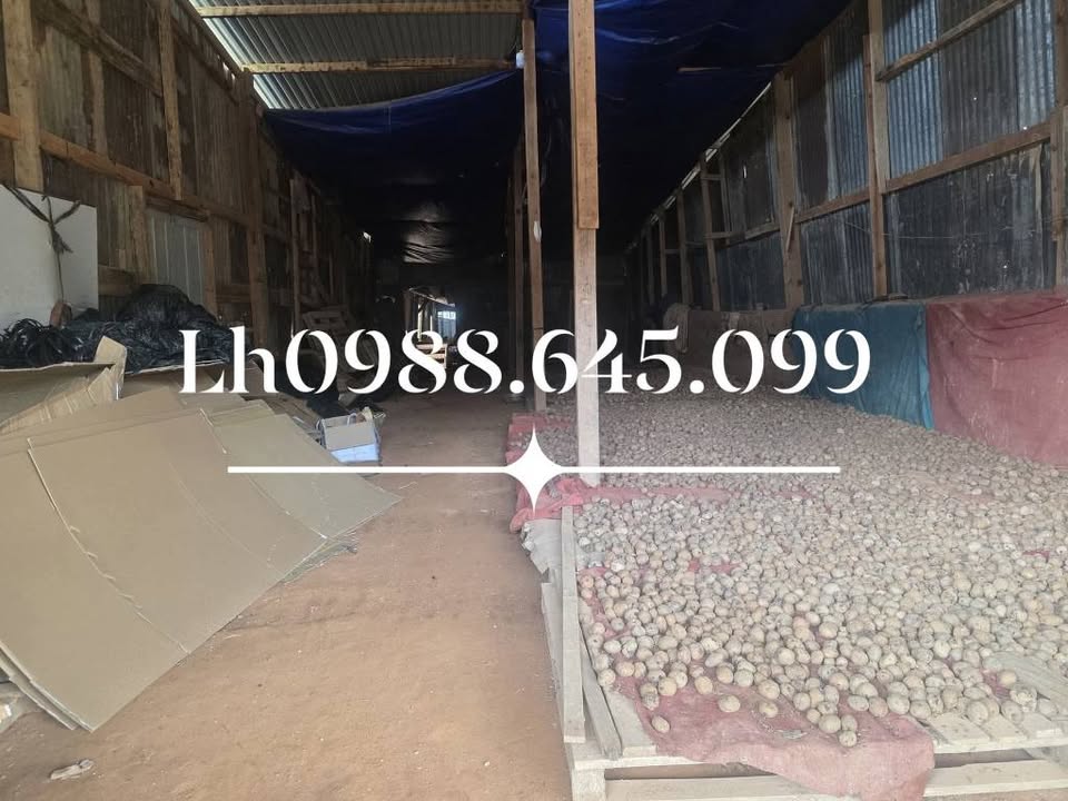 Kho cho thuê tại mặt tiền đường nhựa trung tâm phường Langbiang, Đà Lạt - Diện tích 1000m² chỉ 12 triệu/tháng!