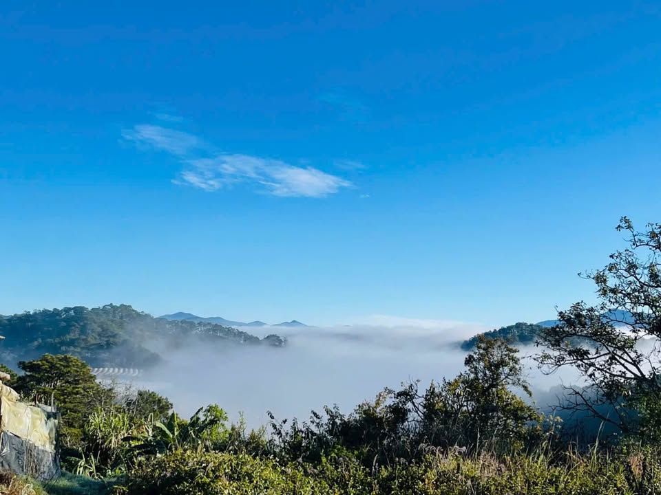 Đất nền Nam Hồ Đà Lạt 200m² giá 7.4 tỷ - Đường ô tô vào tận nơi!